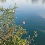Sleepy Hollow RV Park