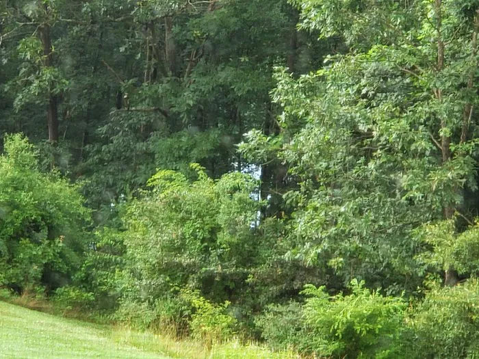 Lake View Trails, Inc. Picture 5