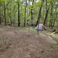 Honey Bear Campground ico