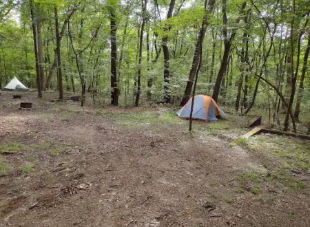 Honey Bear Campground