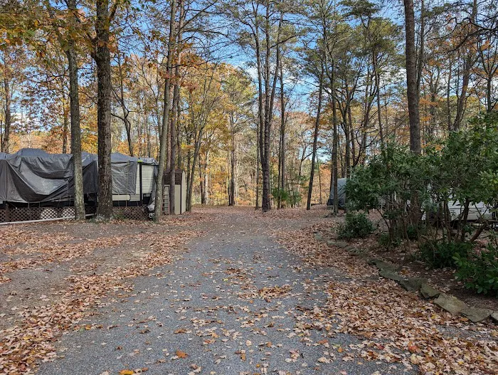Honey Bear Campground Picture 4