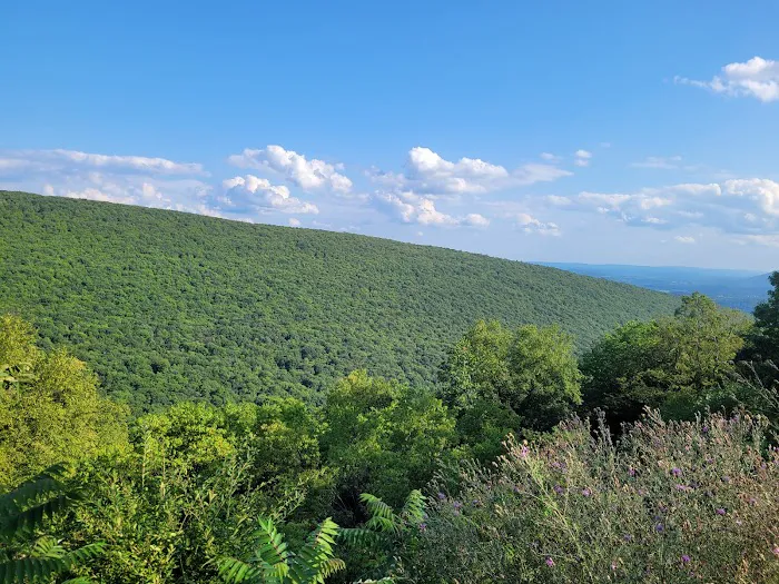 Rothrock State Forest Campsite #1 Picture 3