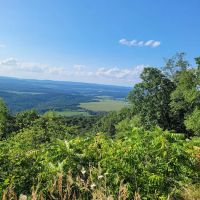 Rothrock State Forest Campsite #1 ico