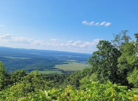 Rothrock State Forest Campsite #1