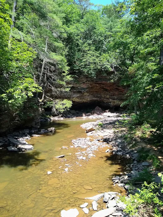 Rothrock State Forest Campsite #1 Picture 9