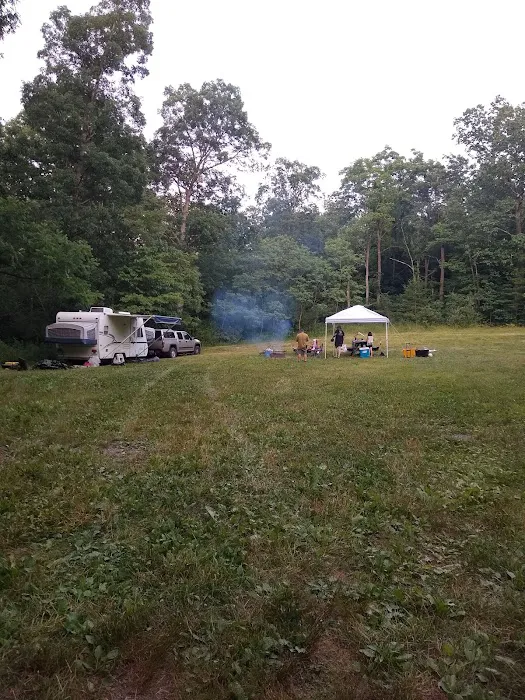Rothrock State Forest Campsite #1 Picture 7