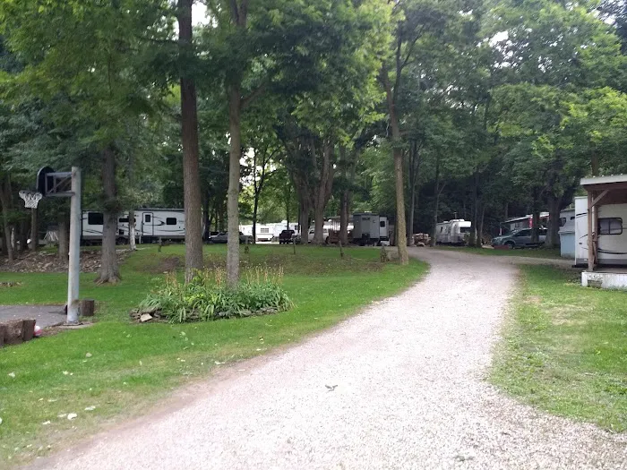 Shade Tree Country RV Park Picture 4
