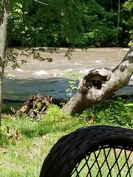 Lazy Dayz Riverfront Campground Picture 5