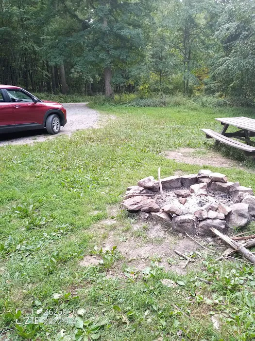 Rothrock State Forest Campsite #2 Picture 7