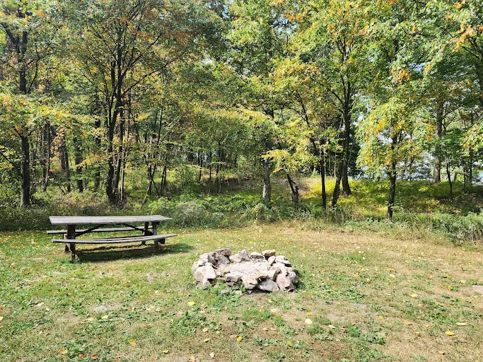 Rothrock State Forest Campsite #2 Picture 2