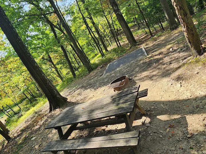 Rothrock State Forest Campsite #2 Picture 1