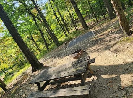 Rothrock State Forest Campsite #2