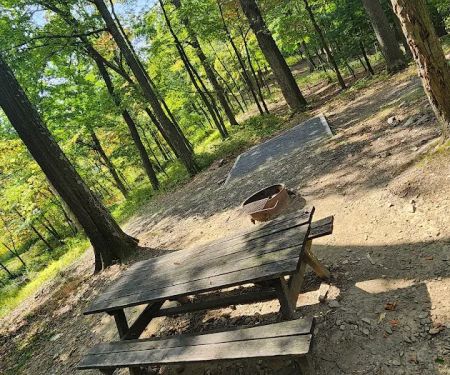 Rothrock State Forest Campsite #2