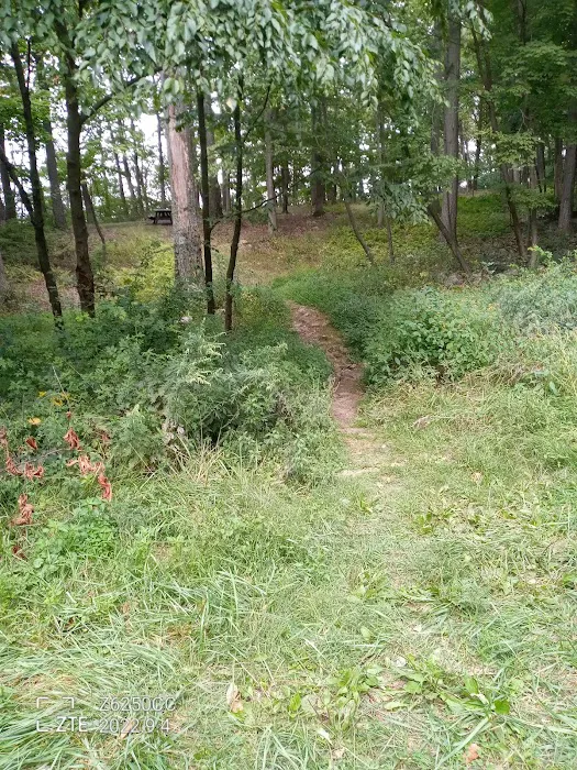 Rothrock State Forest Campsite #2 Picture 8