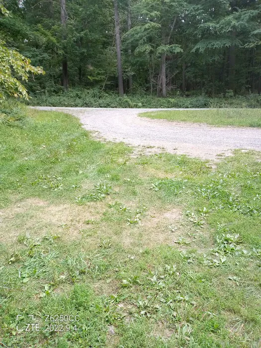 Rothrock State Forest Campsite #2 Picture 9