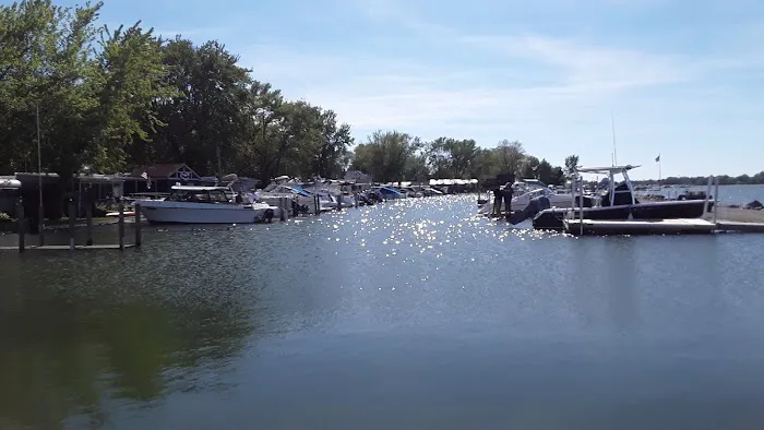 Shady Shores RV Park Picture 2