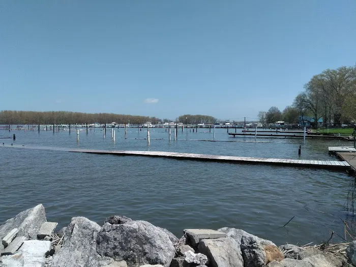 Shady Shores RV Park Picture 6