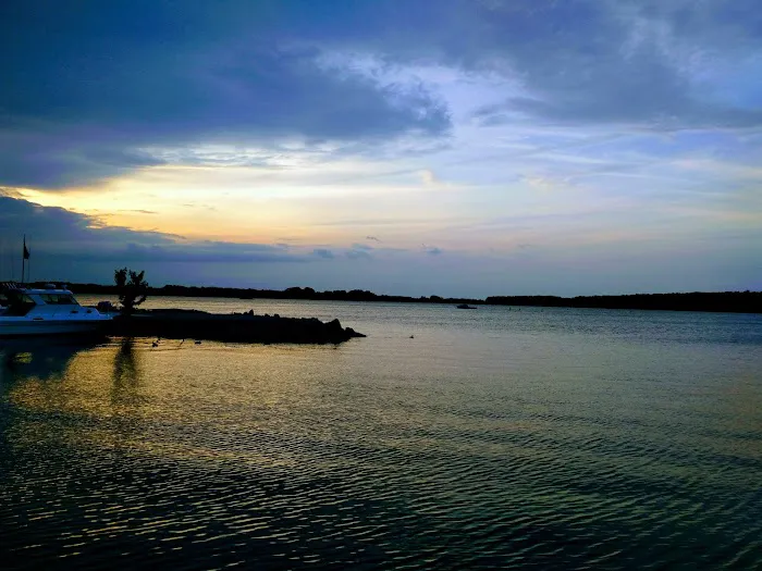 Shady Shores RV Park Picture 3