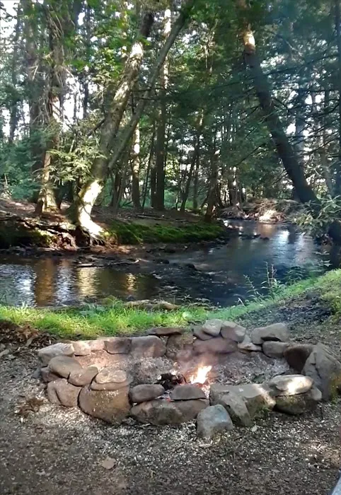 Bald Eagle Campsite Picture 9