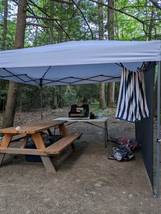 Bald Eagle Campsite Picture 4