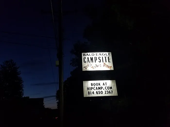 Bald Eagle Campsite Picture 5