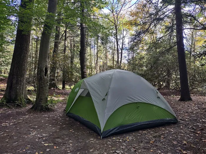 Bald Eagle Campsite Picture 6