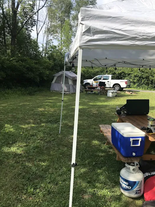 Bald Eagle Campsite Picture 2