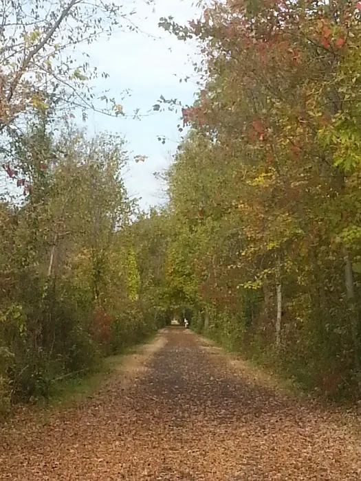Creekside Crossing Picture 5