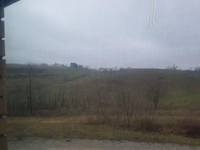 Ridge View Acres Picture 7