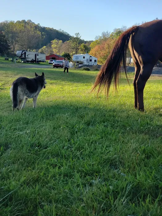 Lemley RV & Mobile Home Park Picture 9