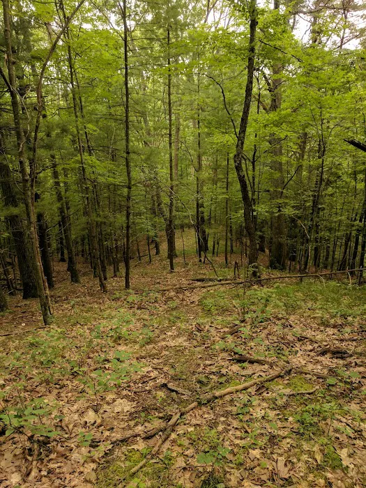 Mountainside Camp Site Picture 5