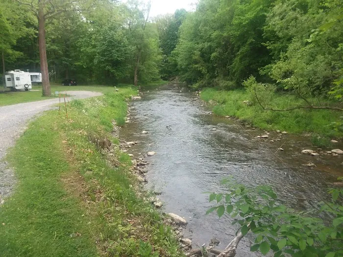 Creek-N-Wood RV Park and Campground Picture 10
