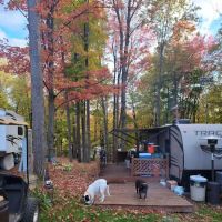 Tamarack Campgrounds ico