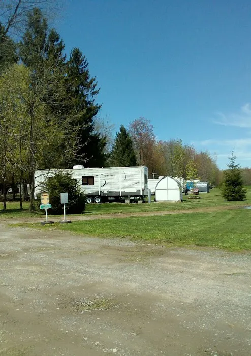 Piney Woods Campsites Picture 2