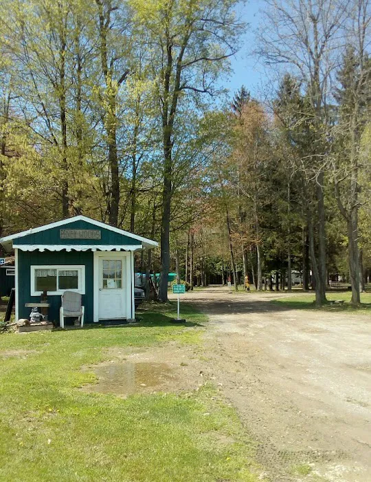 Piney Woods Campsites Picture 6