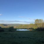Cougar mountain