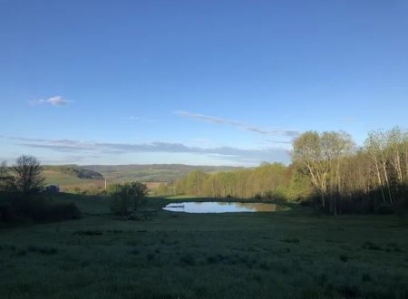 Cougar mountain
