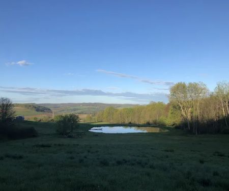 Cougar mountain