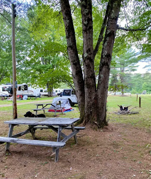 Ideal Campground Picture 2