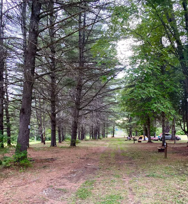 Ideal Campground Picture 3