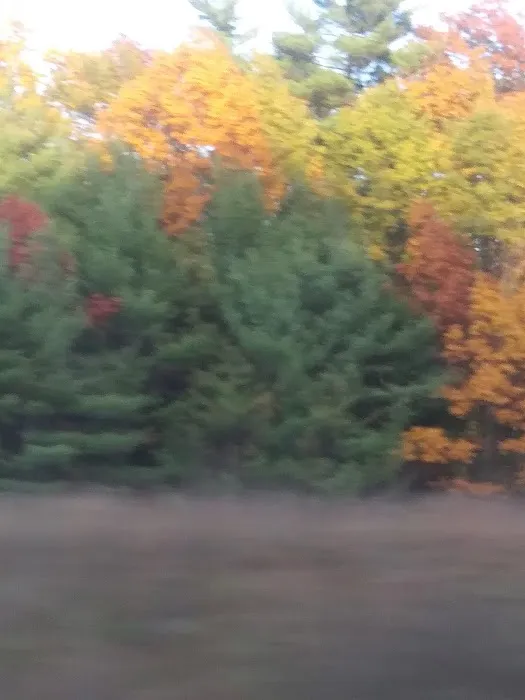 Ideal Campground Picture 4