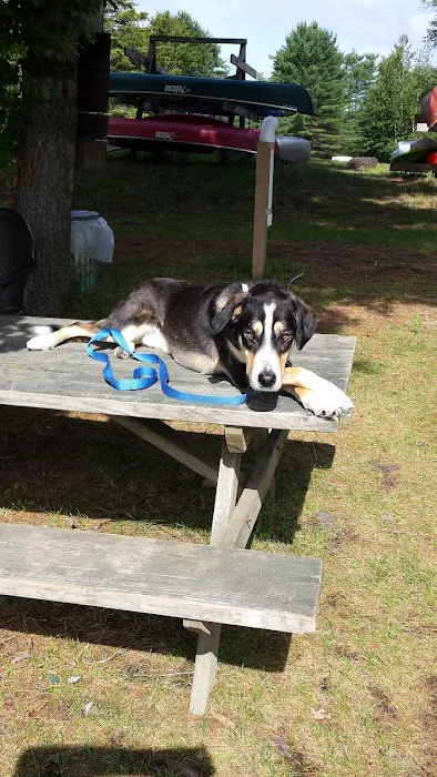 Wakonda Family Campground Picture 6