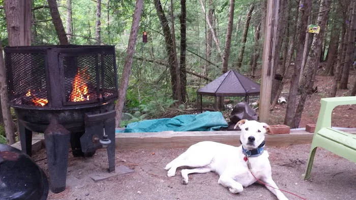 Wakonda Family Campground Picture 7