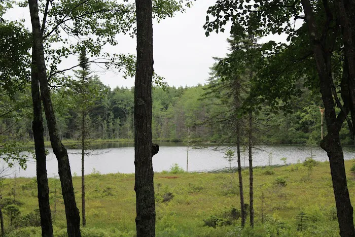 Wakonda Family Campground Picture 2