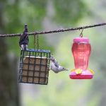 Wakonda Family Campground