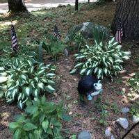 Hidden Pond Campsite ico