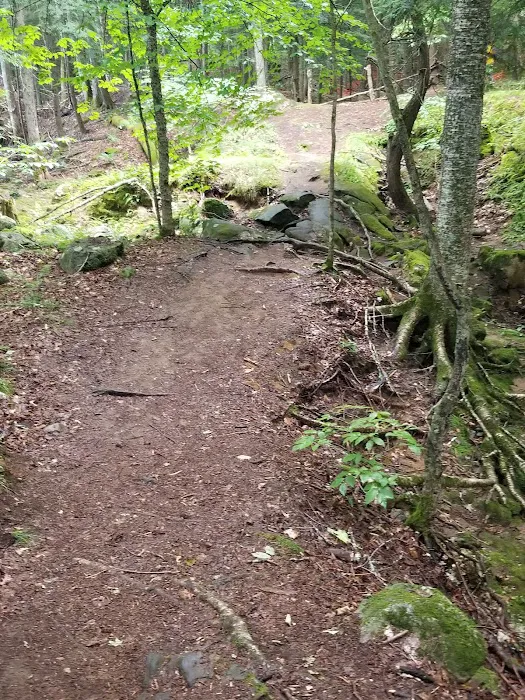 Camp Waubeeka Picture 8