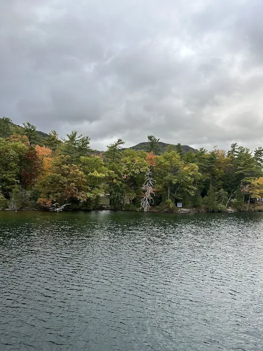 Fox Island Campground #1 Picture 10