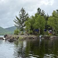 Indian Lake Islands Campground - Campsite #8 ico