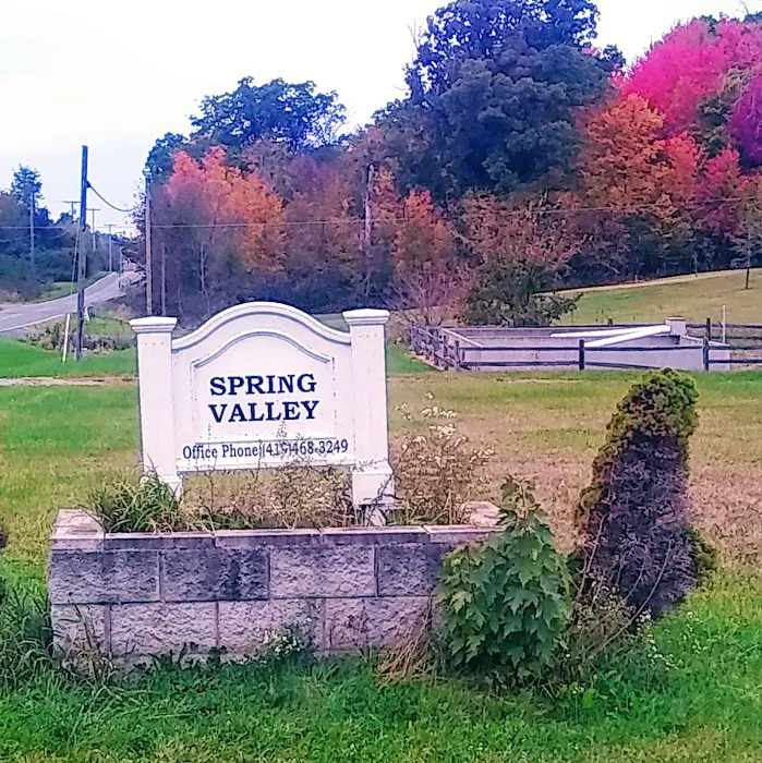 Spring Valley Mobile Home Park Picture 4